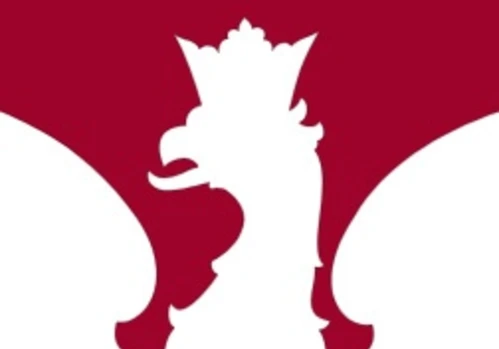 Wybory Samorządowe 2024 r. - wyniki