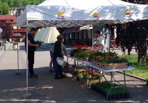 Podziękowanie za udział w akcji Drzewko za surowce